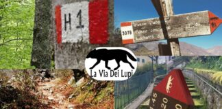 Via dei Lupi, cammino e trekking nel cuore dell’Appennino: tappe, distanze, cosa sapere Via dei Lupi, cammino e trekking nel cuore dell' Appennino: tappe, distanze, cosa sapere