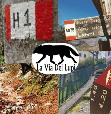 Via dei Lupi, cammino e trekking nel cuore dell' Appennino: tappe, distanze, cosa sapere