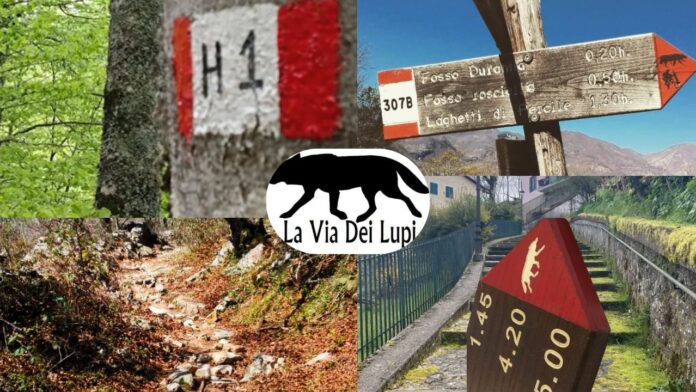 Via dei Lupi, cammino e trekking nel cuore dell' Appennino: tappe, distanze, cosa sapere
