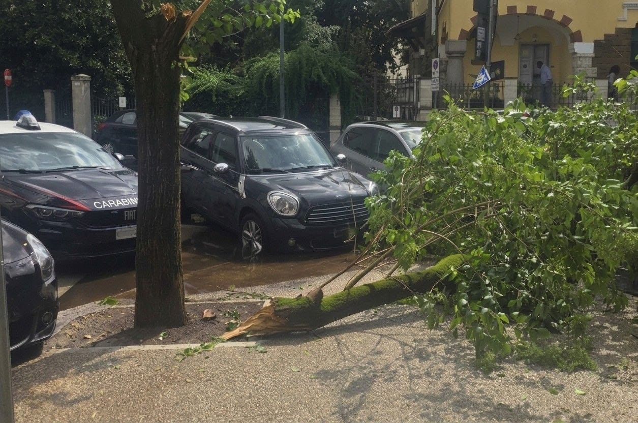 Maltempo a Roma: grosso ramo crolla davanti ad una scuola, tre studenti feriti e asilo evacuato (FOTO) 1
