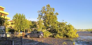 Torvaianica colpita da un violento temporale notturno, acqua nelle abitazioni e alberi crollati