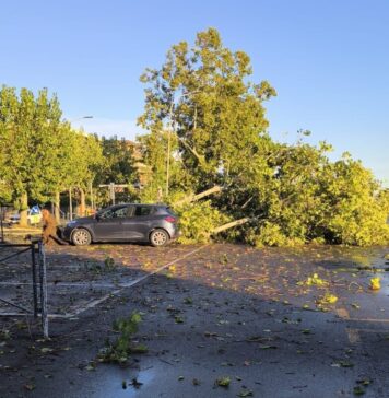 Torvaianica colpita da un violento temporale notturno, acqua nelle abitazioni e alberi crollati