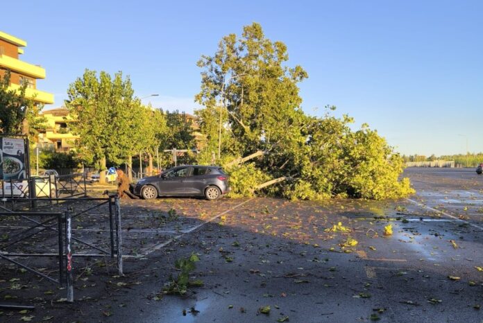 Torvaianica colpita da un violento temporale notturno, acqua nelle abitazioni e alberi crollati