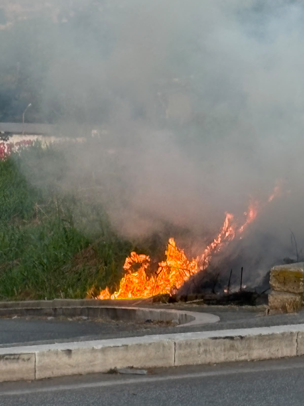 Fiamme all’ingresso del Parco Tiberis: rogo di sterpaglie all’alba. Ecoitaliasolidale: «Rischio annunciato» 2 Fiamme all’ingresso del Parco Tiberis: rogo di sterpaglie all’alba. Ecoitaliasolidale: «Rischio annunciato» 2