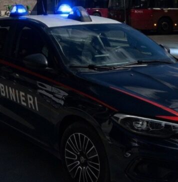 In viale Vasco de Gama i Carabinieri hanno fermato un 26enne: l'arresto a Ostia è scattato per resistenza a pubblico ufficiale, addosso aveva anche cocaina rosa e hashish