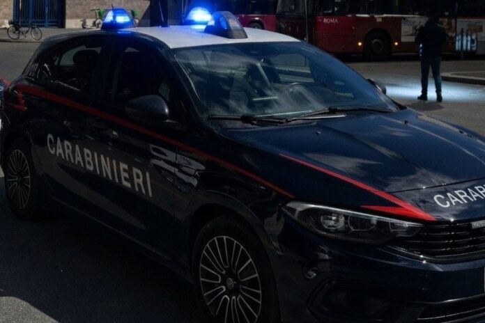In viale Vasco de Gama i Carabinieri hanno fermato un 26enne: l'arresto a Ostia è scattato per resistenza a pubblico ufficiale, addosso aveva anche cocaina rosa e hashish
