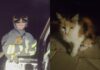 L'intervento con l'autoscala per il delicato salvataggio della gatta salvata dai Vigili del Fuoco, che ha permesso di recuperare l'animale e riportarlo a terra in sicurezza