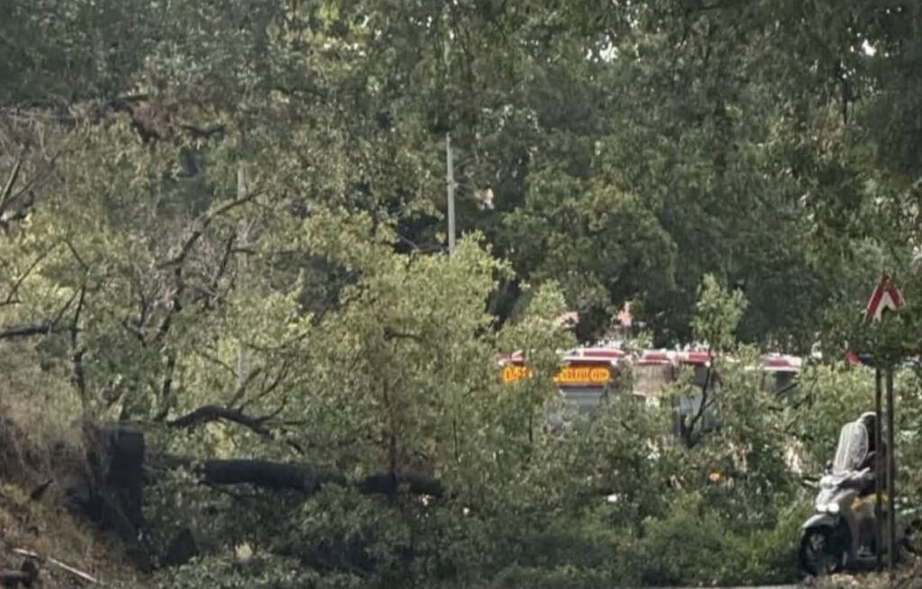 Maltempo a Roma: bomba d'acqua sulla Capitale, cadono alberi e il traffico va in tilt 2