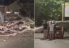 L'albero crollato ha bloccato via Saponara, danneggiando una Fiat Panda parcheggiata: sul posto polizia locale, vigili del fuoco e Ama per la rimozione