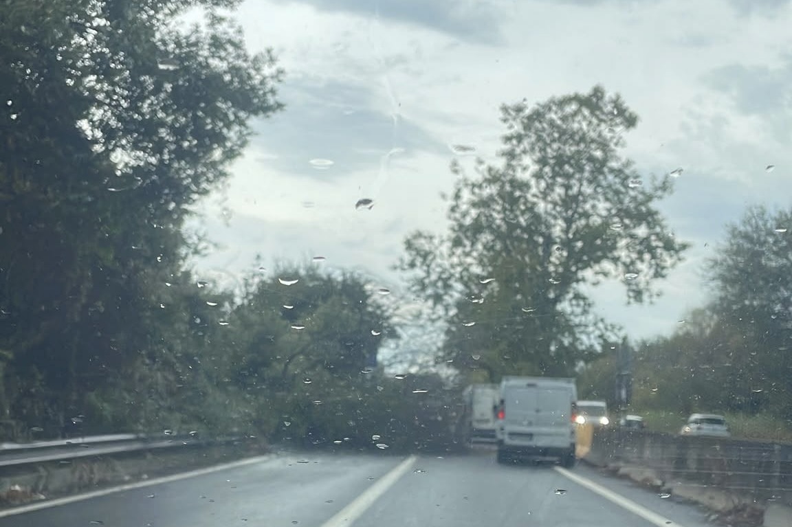 Maltempo a Roma: bomba d'acqua sulla Capitale, cadono alberi e il traffico va in tilt 2