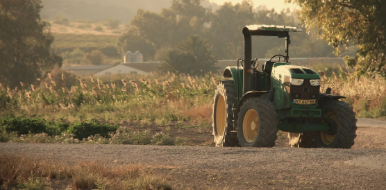 campo agricolo