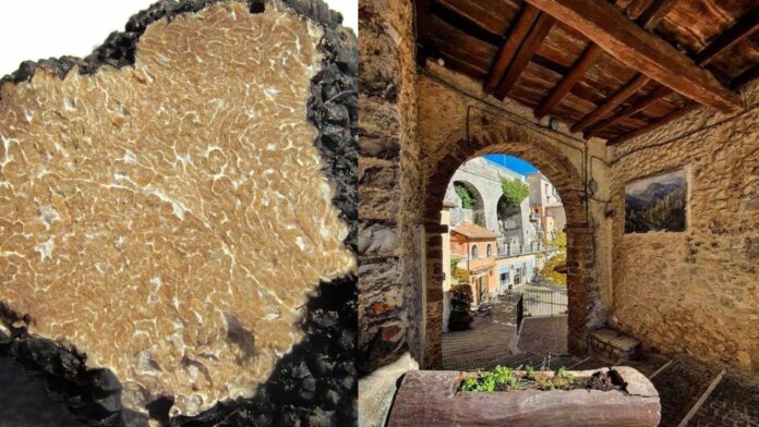cervara-tartufo