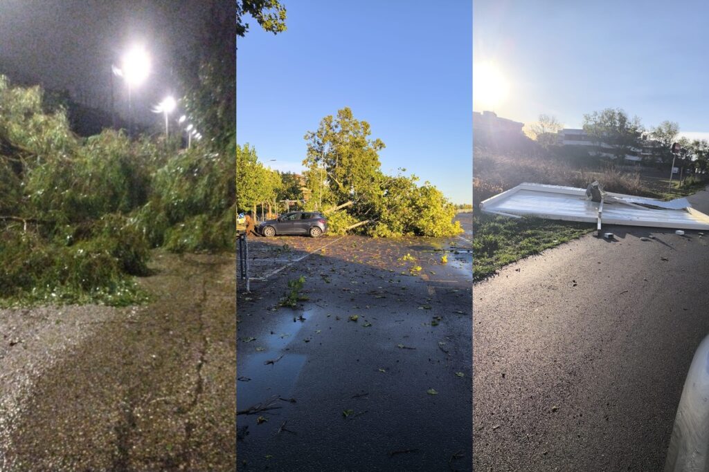 Torvaianica colpita da un violento temporale notturno, acqua nelle abitazioni e alberi crollati