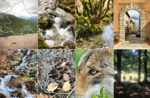 Via dei Lupi, cammino e trekking nel cuore dell'Appennino: tappe, distanze, cosa sapere 1