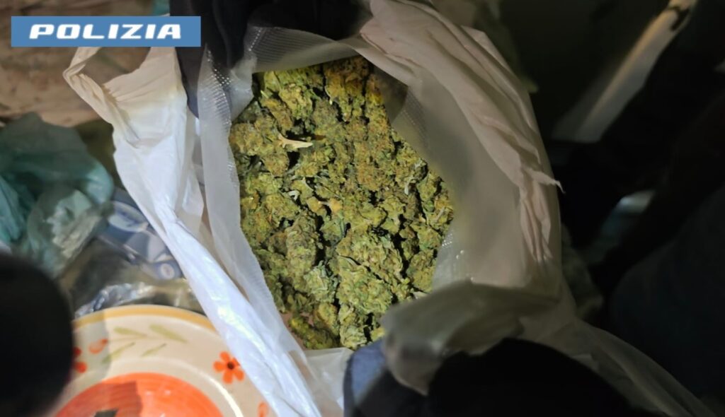 Chiamano la polizia per un furto ma in giardino c'è una serra di marijuana: arrestata 45enne 1