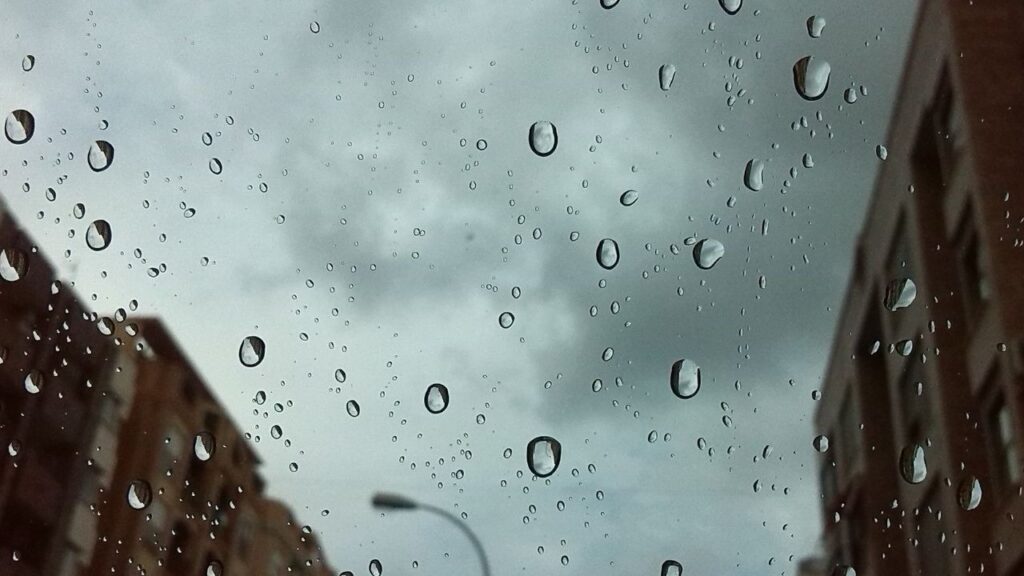 Maltempo a Roma: bomba d'acqua sulla Capitale, cadono alberi e il traffico va in tilt 1