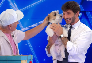 Tommasino di Affari Tuoi, che cane è: età, razza, di chi è figlio, curiosità 1