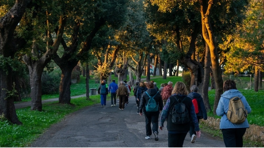 Attività motoria guidata e gratuita: al Parco della Salute passeggiate e allenamento su misura per tutti 1