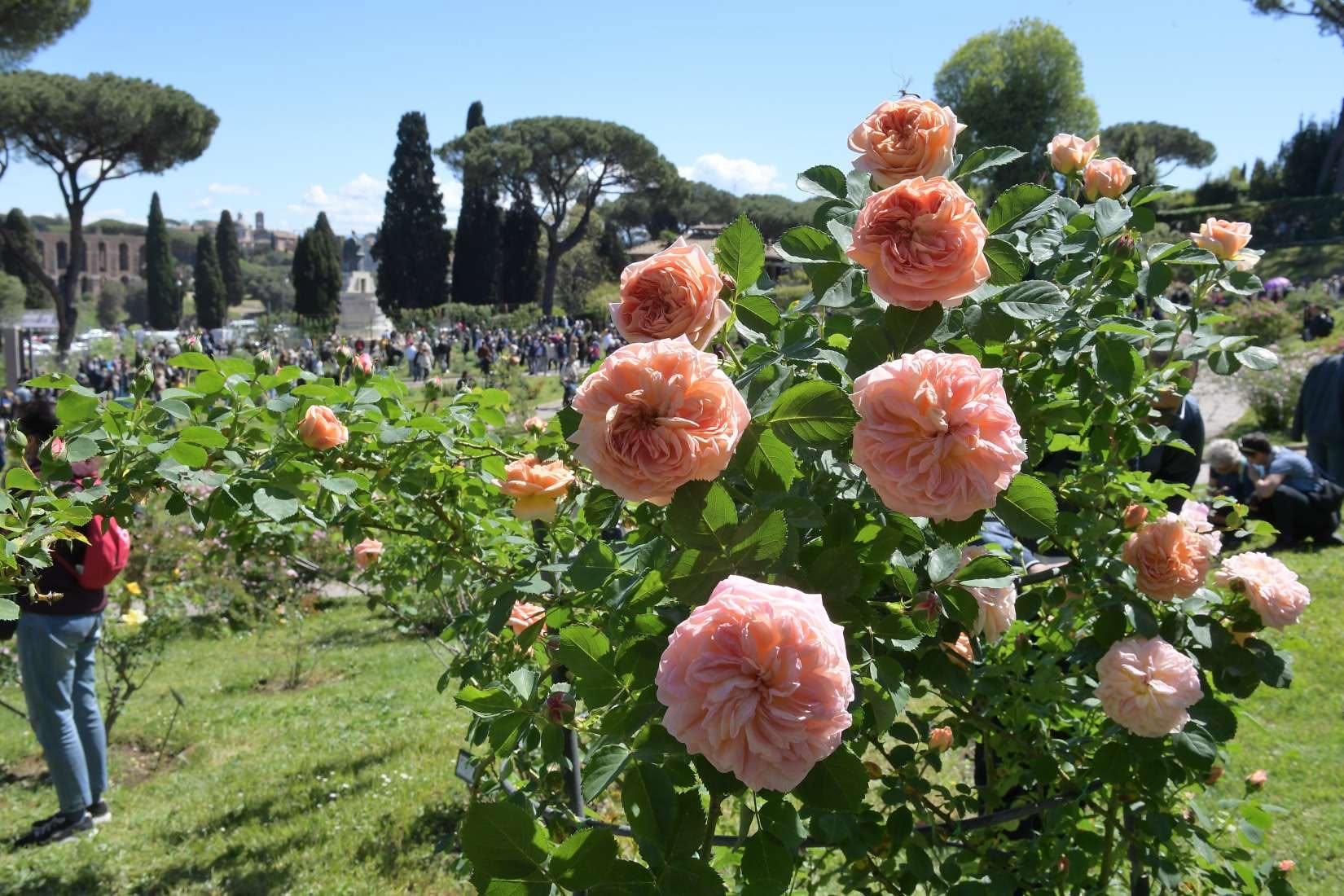 Che fare a Roma e Litorale romano nel weekend dal 23 al 25 ottobre: dove si entra gratis 4