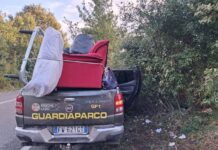 Nel Parco dei Castelli Romani i Guardiaparco bonificano i Pratoni del Vivaro: rimossi rifiuti ingombranti, al via fototrappole e sanzioni