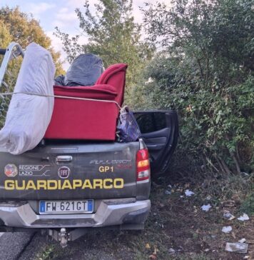 Nel Parco dei Castelli Romani i Guardiaparco bonificano i Pratoni del Vivaro: rimossi rifiuti ingombranti, al via fototrappole e sanzioni
