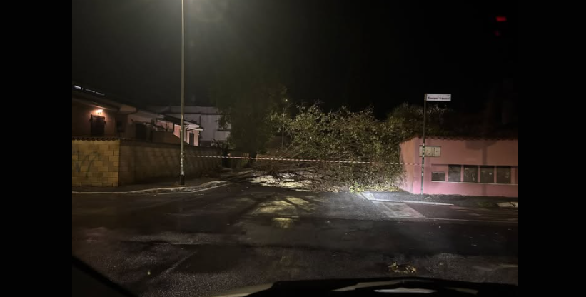 Pino crolla su un palazzo ad Ostia: danni ingenti. Maltempo, alberi caduti e disagi in tutta Roma 1 Pino crolla su un palazzo ad Ostia: danni ingenti. Maltempo, alberi caduti e disagi in tutta Roma 1