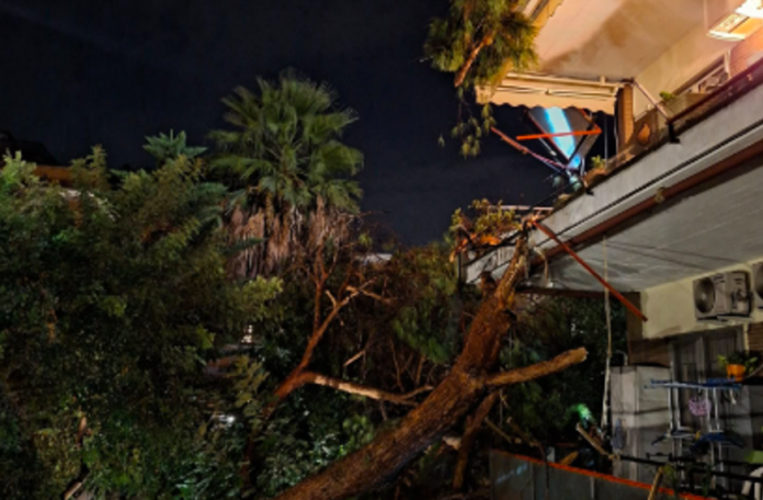 ALBERO FOTO OK OSTIA OTTOBRE 9 DANNI FIAMME GIALLE