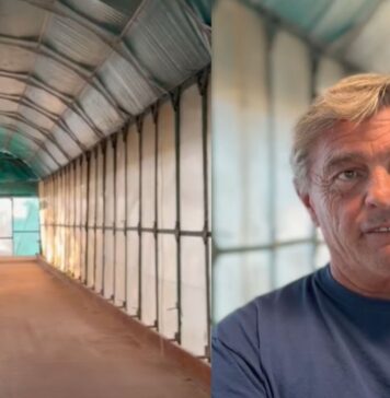 Al via il rilancio dello storico circolo bocciofilo dell'Infernetto: come partecipare e quando è aperto
