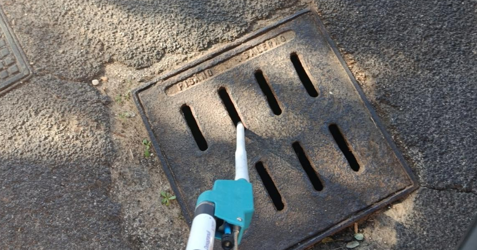West Nile, disinfestazione dopo un caso autoctono: intervento nella notte ad Anzio 1 West Nile, disinfestazione dopo un caso autoctono: intervento nella notte ad Anzio 1