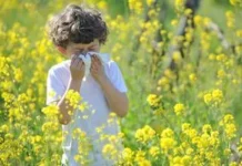 Inaugurato un nuovo presidio per bambini e ragazzi: la Asl Roma 6 attiva il servizio di allergologia alla Casa di Comunità di Anzio