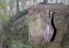 Pipistrelli in letargo, scattano le chiusure ai Castelli Romani per proteggerli: le zone interessate