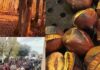 Sagra del Marrone ad Arcinazzo Romano 31 ottobre e 1 novembre 2026: programma e menù