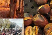 Sagra del Marrone ad Arcinazzo Romano 31 ottobre e 1 novembre 2026: programma e menù