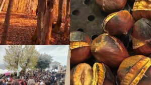 Sagra del Marrone ad Arcinazzo Romano 31 ottobre e 1 novembre 2026: programma e menù