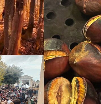 Sagra del Marrone ad Arcinazzo Romano 31 ottobre e 1 novembre 2026: programma e menù