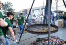 Sagra della Castagna di Manziana: programma 2026 della tre giorni di festa, musica e sapori