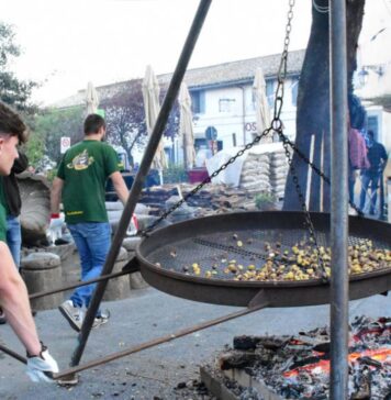 Sagra della Castagna di Manziana: programma 2026 della tre giorni di festa, musica e sapori