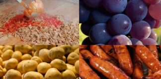 Sagre a Roma e nel Lazio dal 9 all'11 ottobre 2026: sapori tra tacchie, pincinelle, sagne, patate e castagne