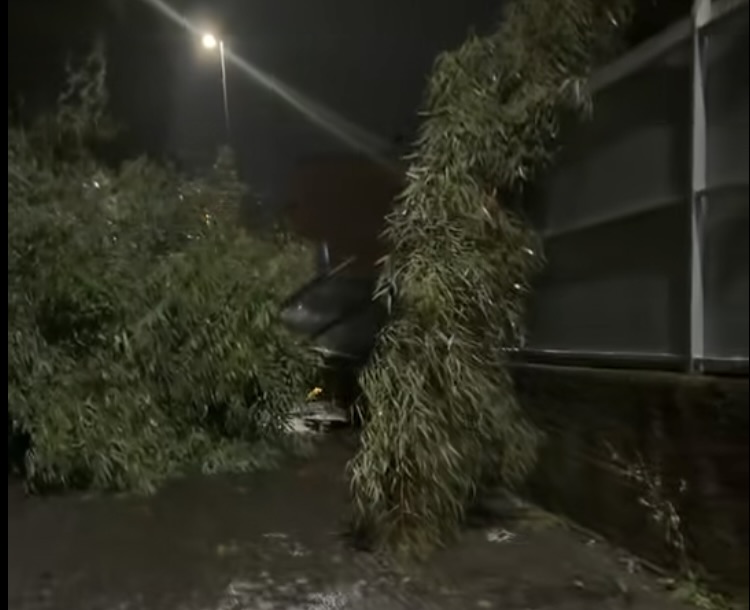 Bomba d'acqua su Roma: alberi caduti e auto sommerse. Resta l'allerta gialla 2