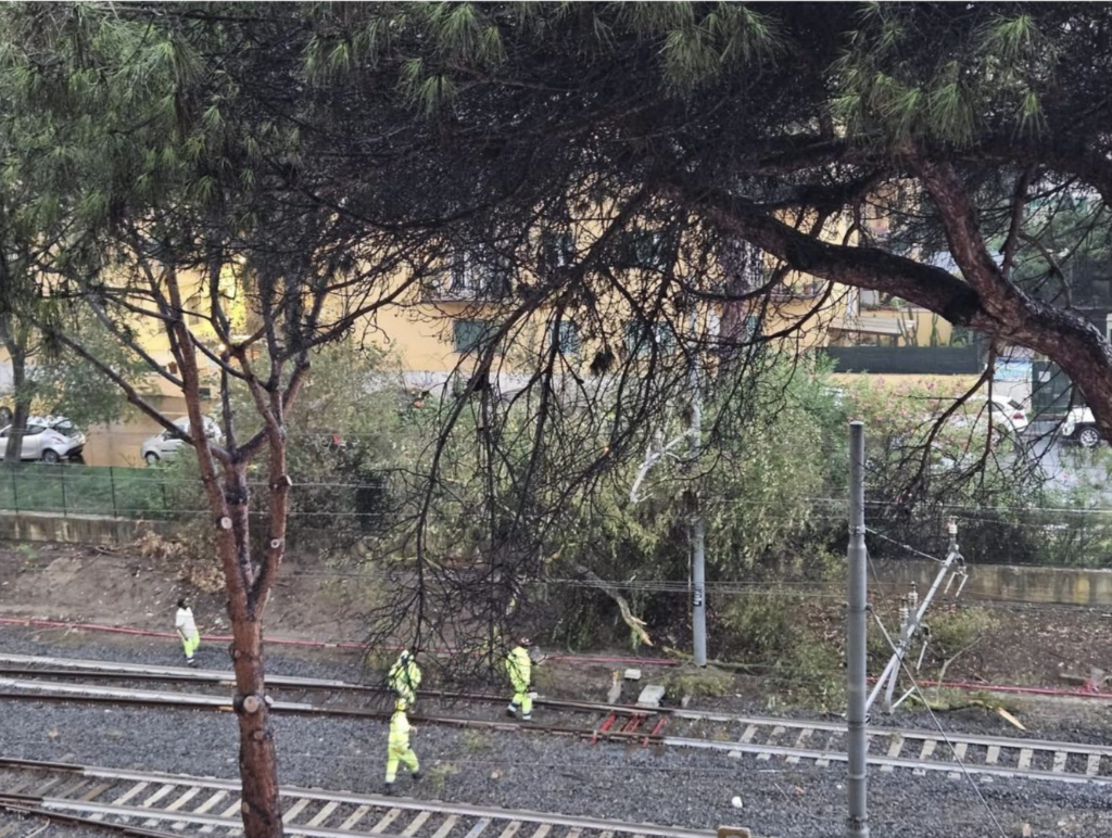 Bomba d'acqua su Roma: alberi caduti e auto sommerse. Resta l'allerta gialla 1