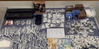Cocaina tra cibo per animali e camper-distributori: blitz dei Falchi nella periferia est di Roma con otto arresti 