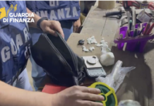 La Guardia di Finanza perquisisce un cinquantacinquenne e scopre lo stupefacente nascosto in un magazzino a San Felice Circeo