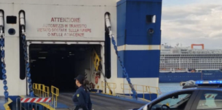Controlli al porto di Civitavecchia portano a diversi fermi tra passeggeri in fuga all'estero e veicoli con documenti falsi 