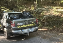 Guardiaparco, bonifica ambientale, Castelli Romani, Frascati, Tuscolo, Rocca di Papa, Monte Cavo, Ente Parco, tutela ambientale, gestione rifiuti