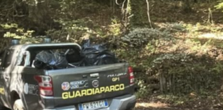 Guardiaparco, bonifica ambientale, Castelli Romani, Frascati, Tuscolo, Rocca di Papa, Monte Cavo, Ente Parco, tutela ambientale, gestione rifiuti