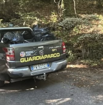 Guardiaparco, bonifica ambientale, Castelli Romani, Frascati, Tuscolo, Rocca di Papa, Monte Cavo, Ente Parco, tutela ambientale, gestione rifiuti