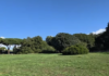 Investimento di 200mila euro a Ladispoli per l'acquisizione di un'area privata: cresce la quota di parco pubblico al Bosco di Palo