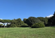 Investimento di 200mila euro a Ladispoli per l'acquisizione di un'area privata: cresce la quota di parco pubblico al Bosco di Palo