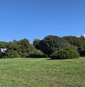 Investimento di 200mila euro a Ladispoli per l'acquisizione di un'area privata: cresce la quota di parco pubblico al Bosco di Palo