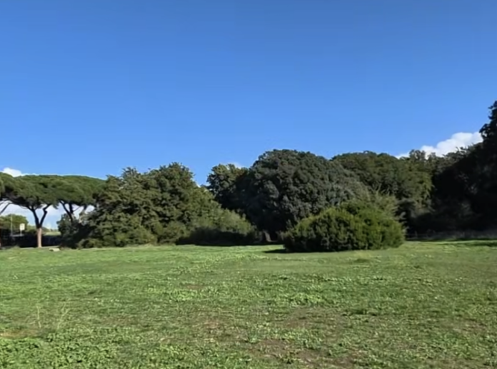 Investimento di 200mila euro a Ladispoli per l'acquisizione di un'area privata: cresce la quota di parco pubblico al Bosco di Palo